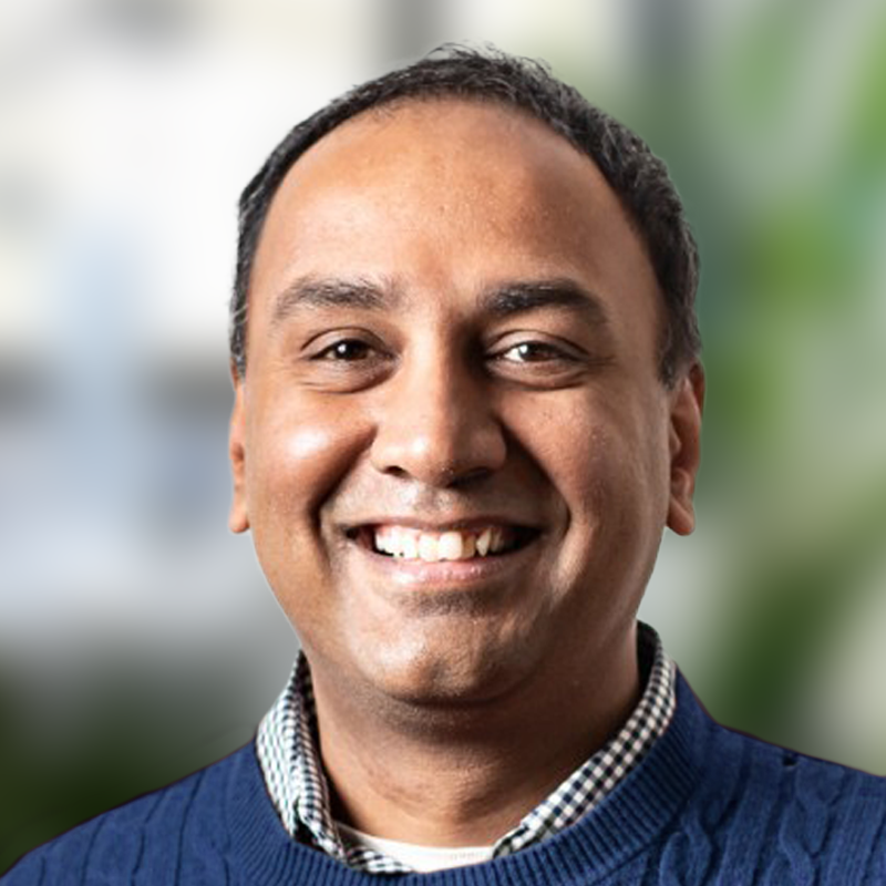 Vivek Raghunathan