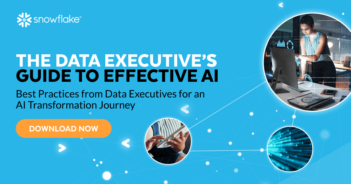 The Data Executive’s Guide to Effective AI: Best Practices from Data ...